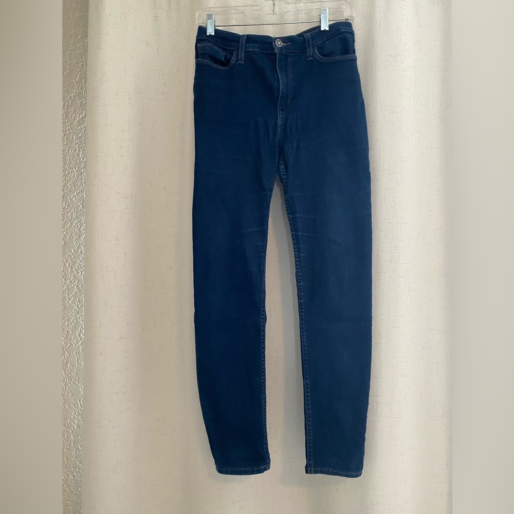 Hudson Jeans Blue Skinny Jeans